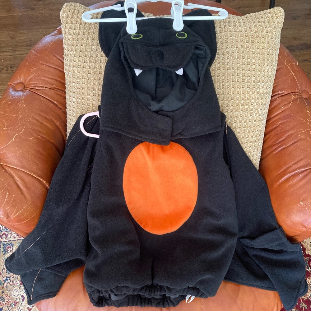 Pottery Barn Kids Bat Costume size 2T/3T